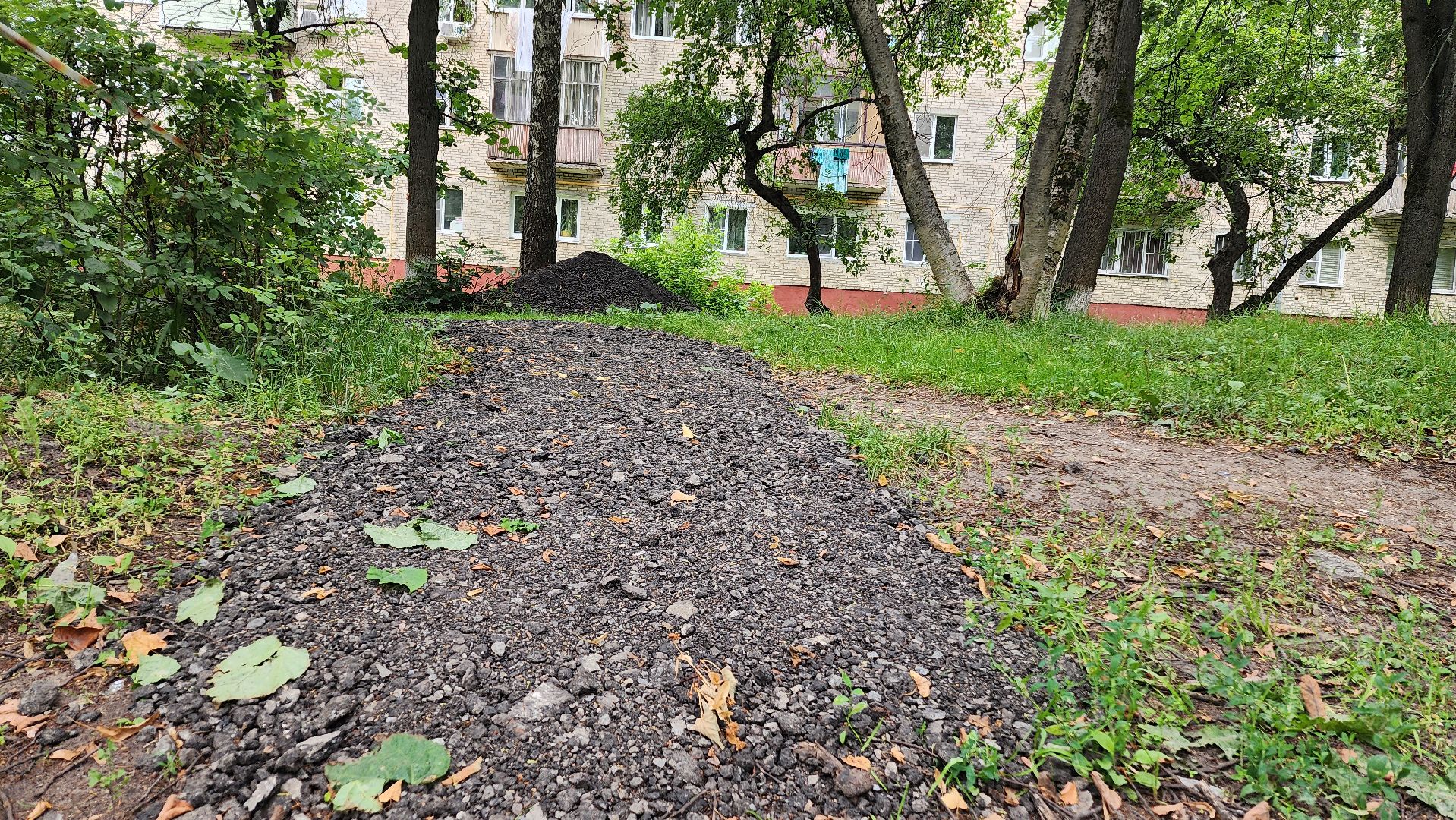 народная тропа, пешеходная дорога, пешеходная дорожка, тротуар, домодедово, подмосковье, жкх,