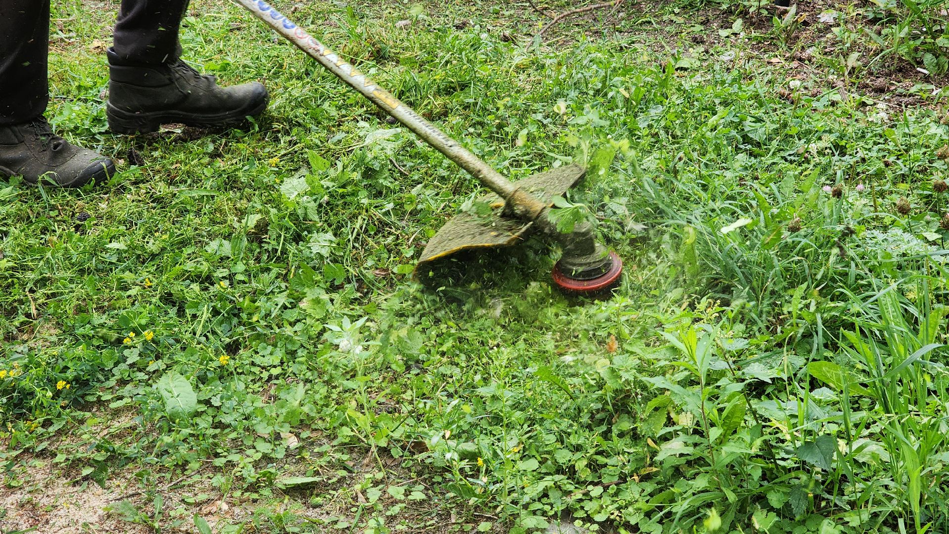 покос травы, провтвино, комбинат благоустройства,