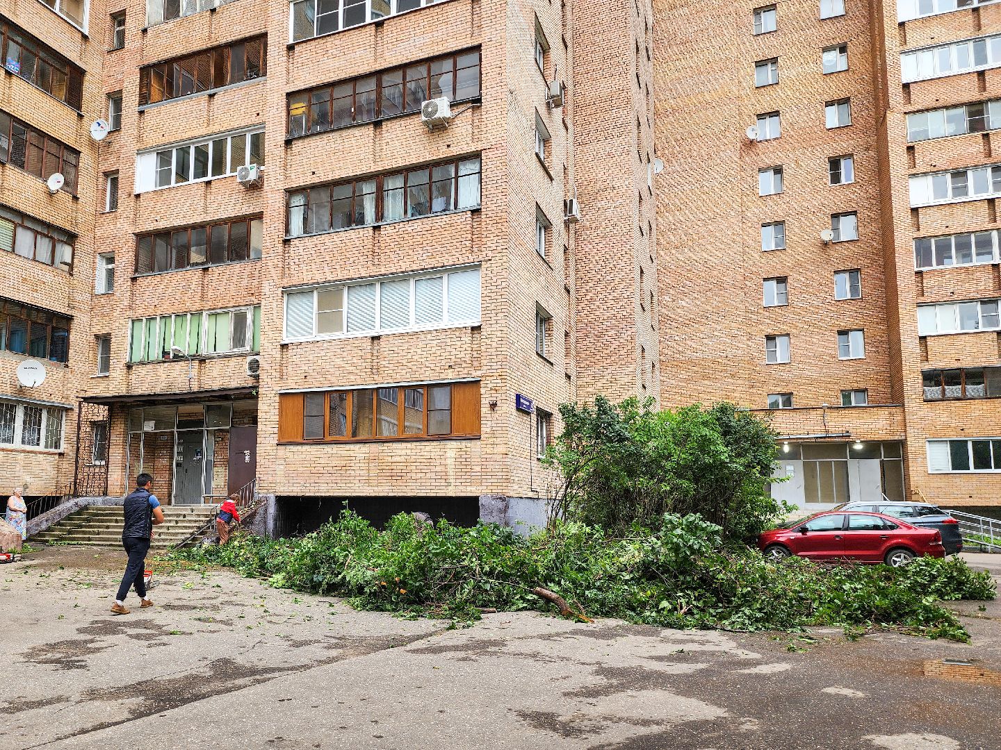 Подольск, Климовск, Выездная администрация, Спилили дерево, обращение жителей,