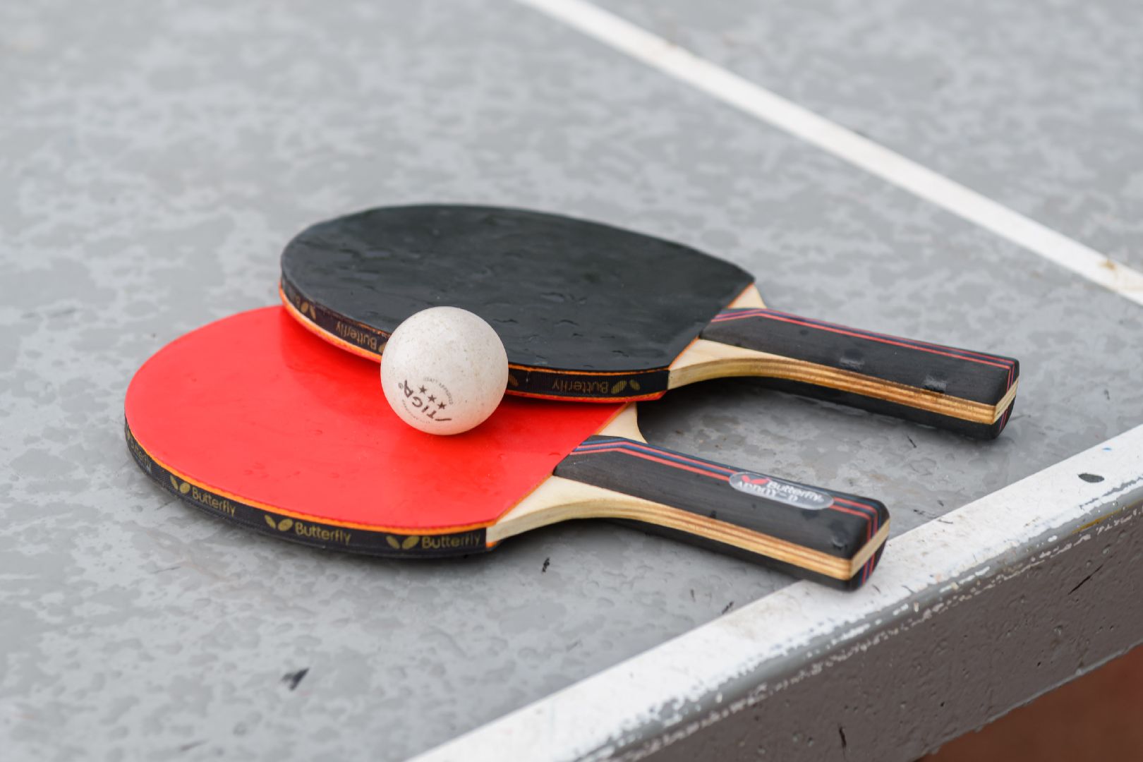 политех лыткарино, теннис, теннисный турнир, спорт,