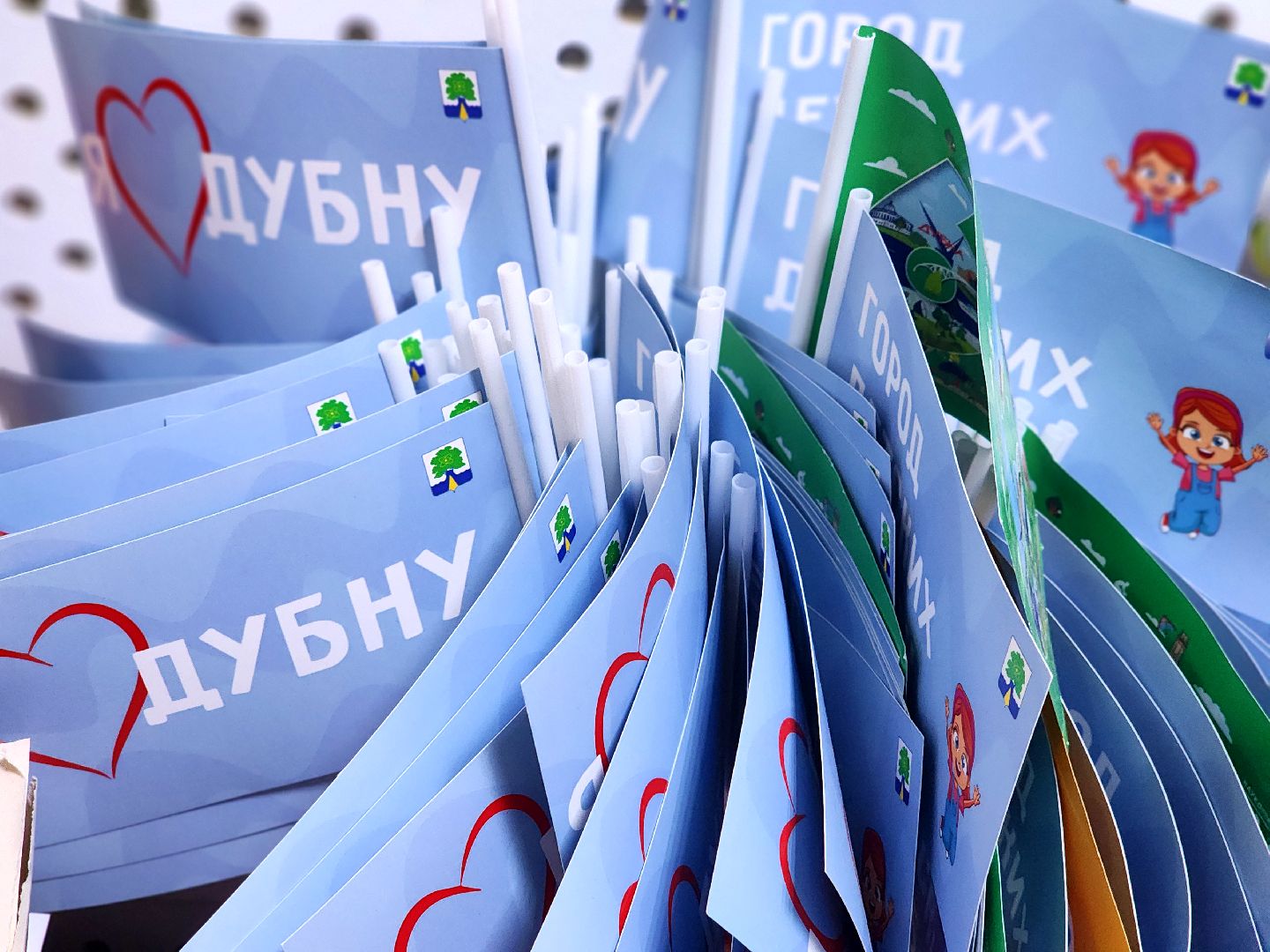 дубна, волонтеры подмосковья, комфортная городская среда,