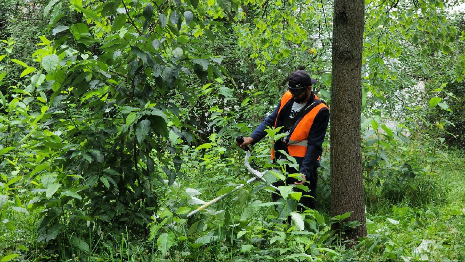 Покос травы , Благоустройство дворов , Лобня ,