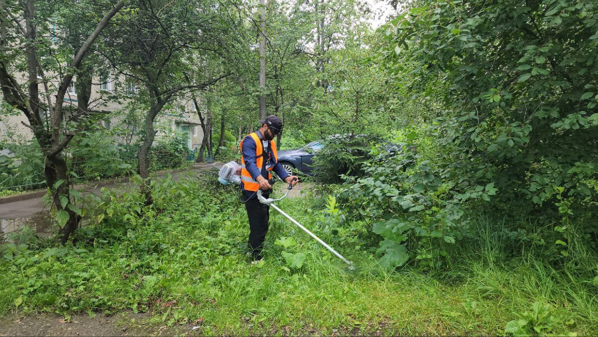 Покос травы , Благоустройство дворов , Лобня ,