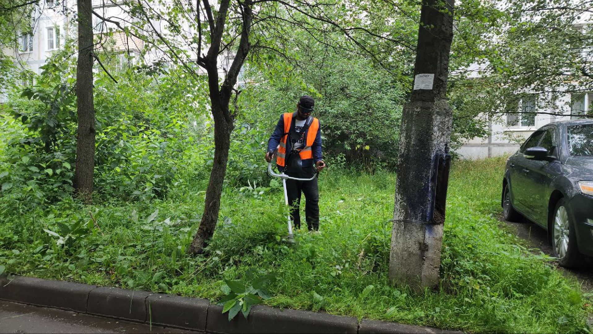 Покос травы , Благоустройство дворов , Лобня ,