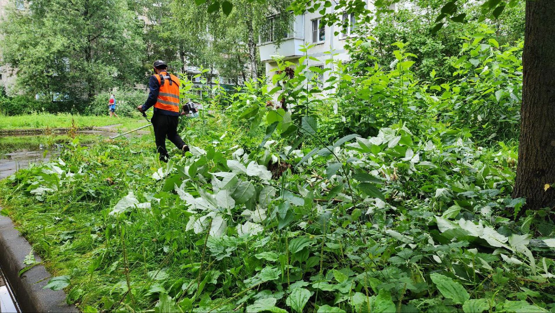 Покос травы , Благоустройство дворов , Лобня ,