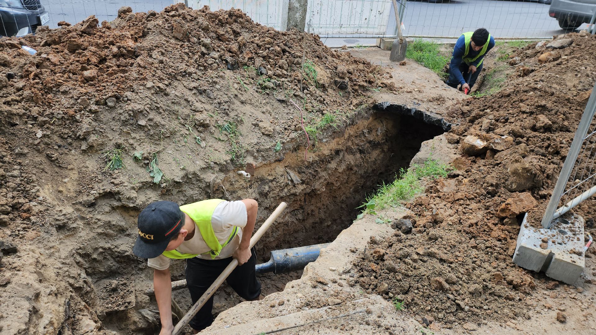 серпухов, подмосковье, парк питомник, парки подмосковья, реконструкция парка,