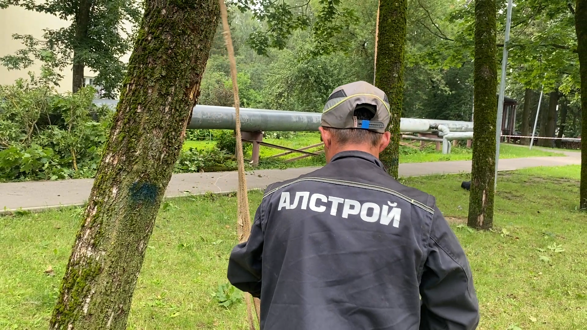 модернизация теплосетей, власихе теплосеть, власиха площадь дк, компенсационная посадка деревьев,