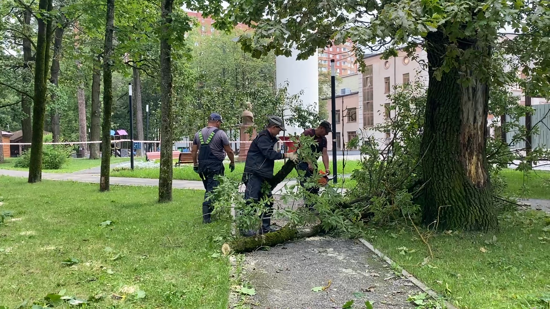 модернизация теплосетей, власихе теплосеть, власиха площадь дк, компенсационная посадка деревьев,