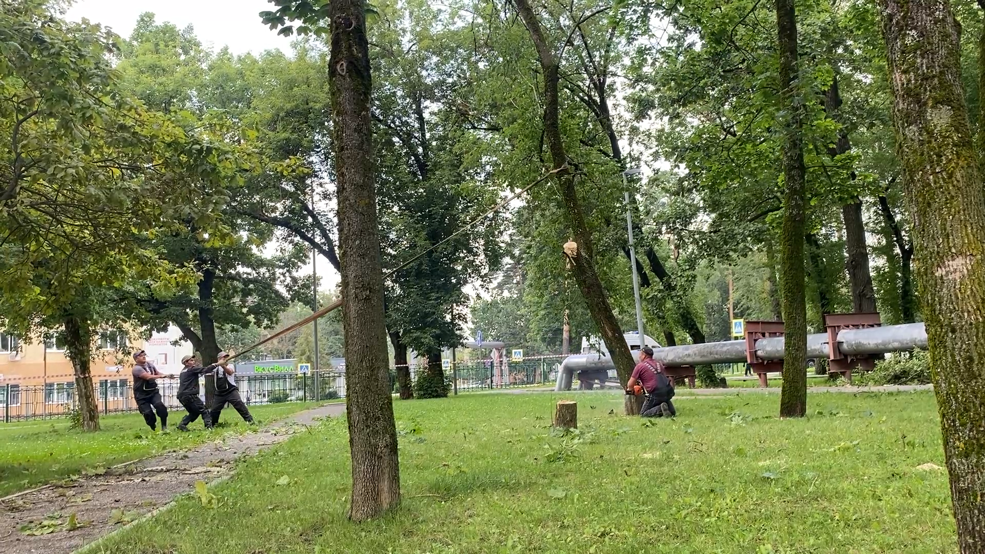 модернизация теплосетей, власихе теплосеть, власиха площадь дк, компенсационная посадка деревьев,