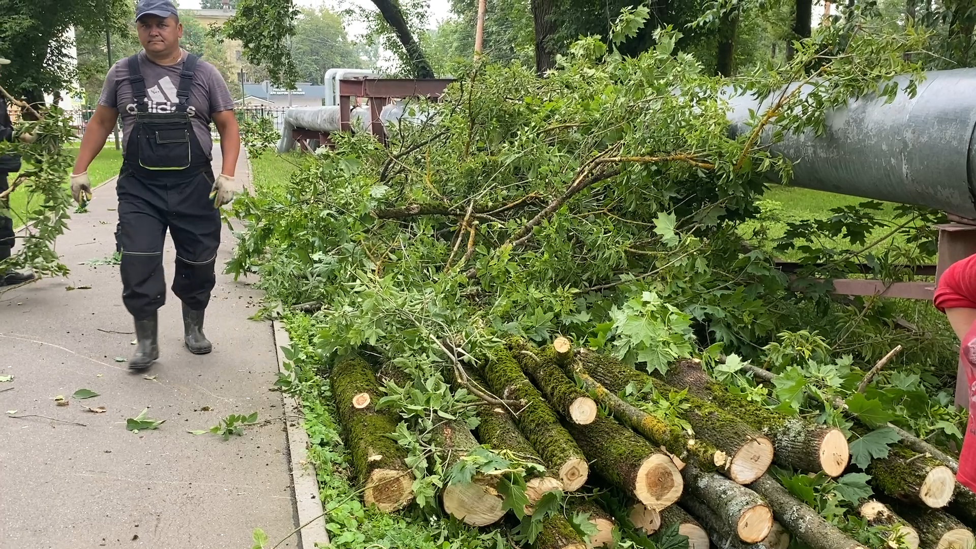 модернизация теплосетей, власихе теплосеть, власиха площадь дк, компенсационная посадка деревьев,