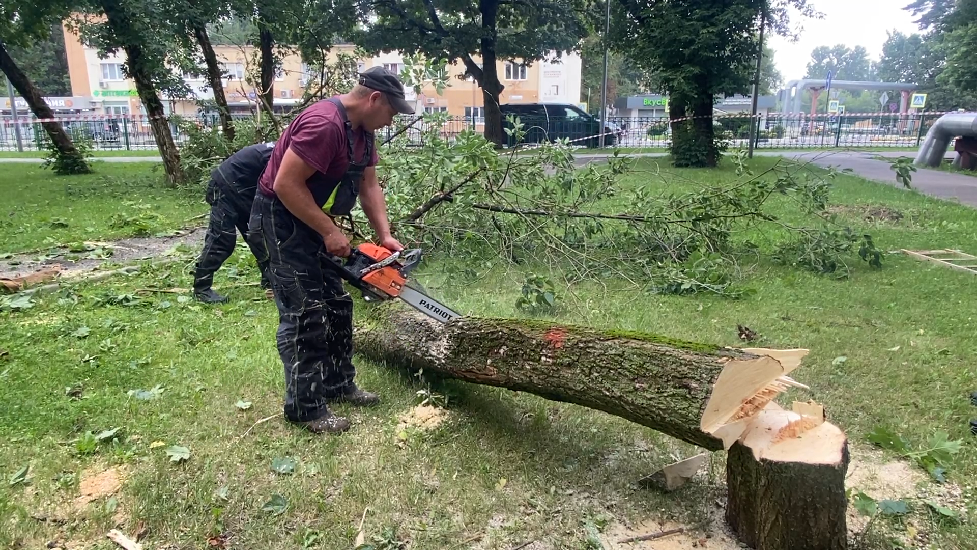 модернизация теплосетей, власихе теплосеть, власиха площадь дк, компенсационная посадка деревьев,