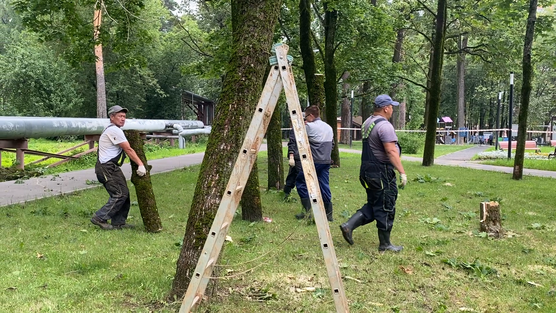 модернизация теплосетей, власихе теплосеть, власиха площадь дк, компенсационная посадка деревьев,