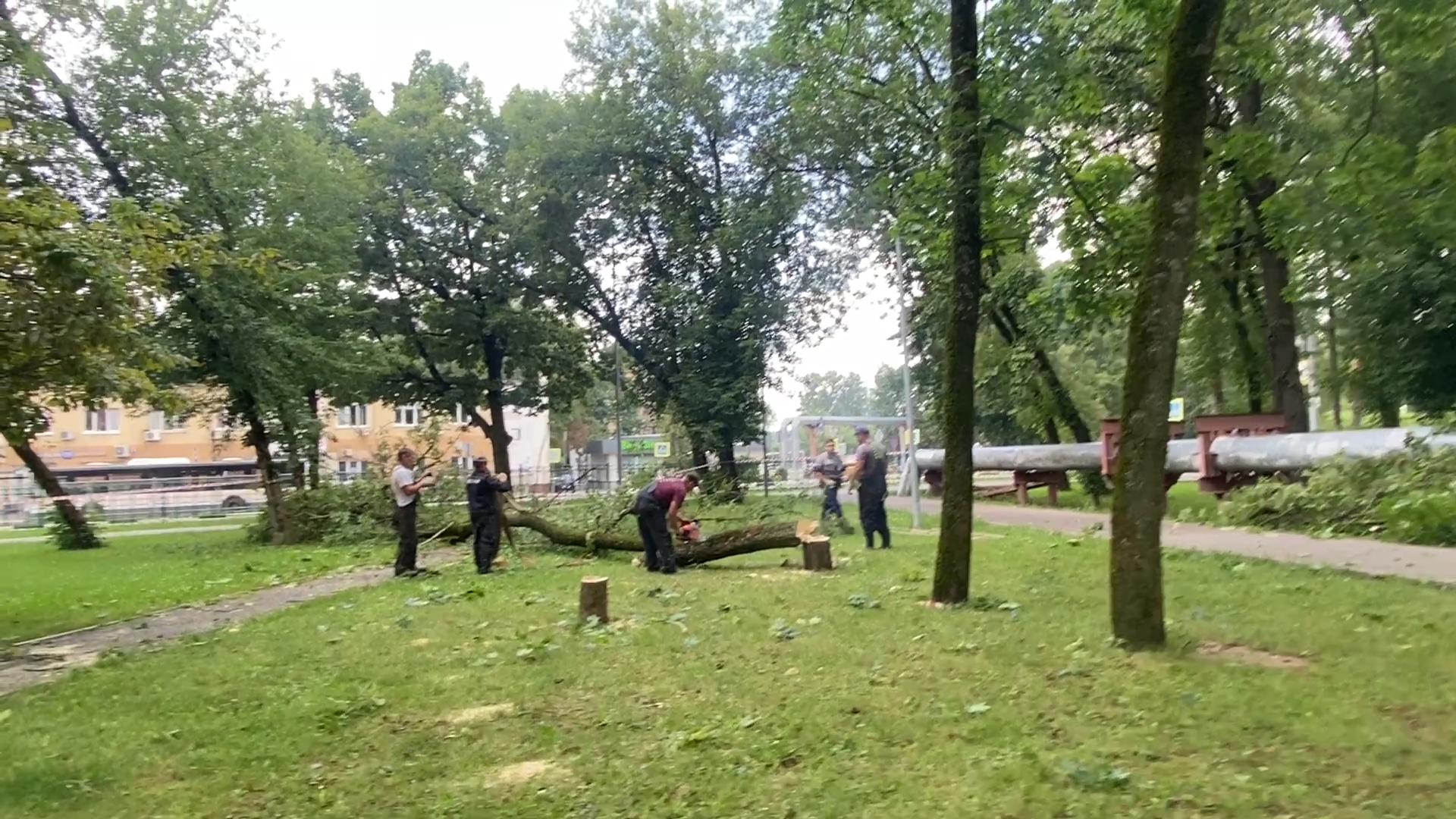модернизация теплосетей, власихе теплосеть, власиха площадь дк, компенсационная посадка деревьев,