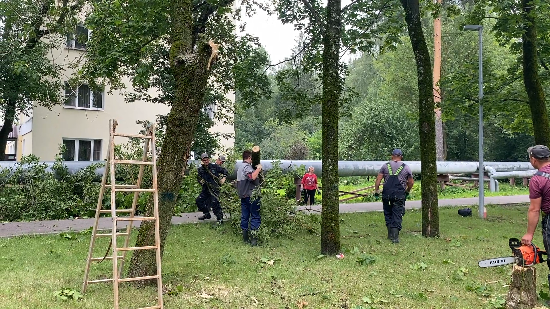 модернизация теплосетей, власихе теплосеть, власиха площадь дк, компенсационная посадка деревьев,