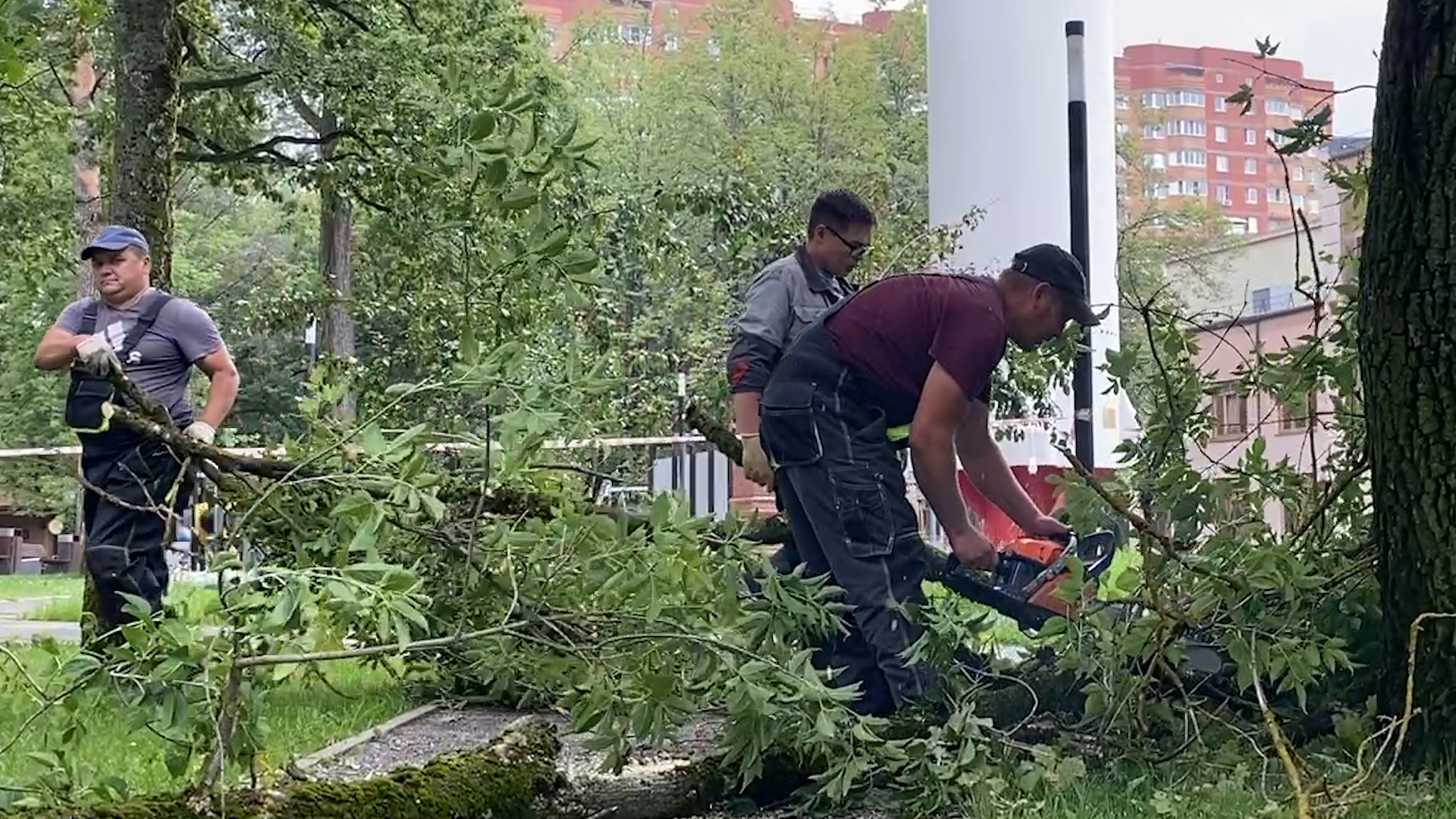 модернизация теплосетей, власихе теплосеть, власиха площадь дк, компенсационная посадка деревьев,