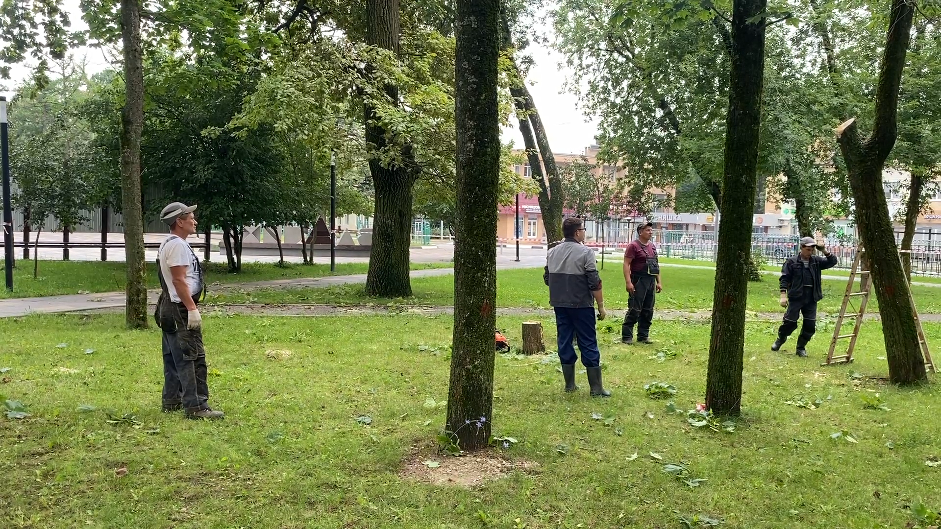 модернизация теплосетей, власихе теплосеть, власиха площадь дк, компенсационная посадка деревьев,