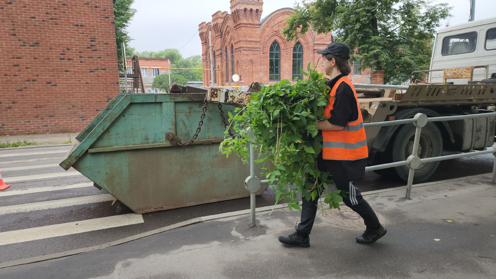 серпухов, подмосковье, формовочная стрижка,