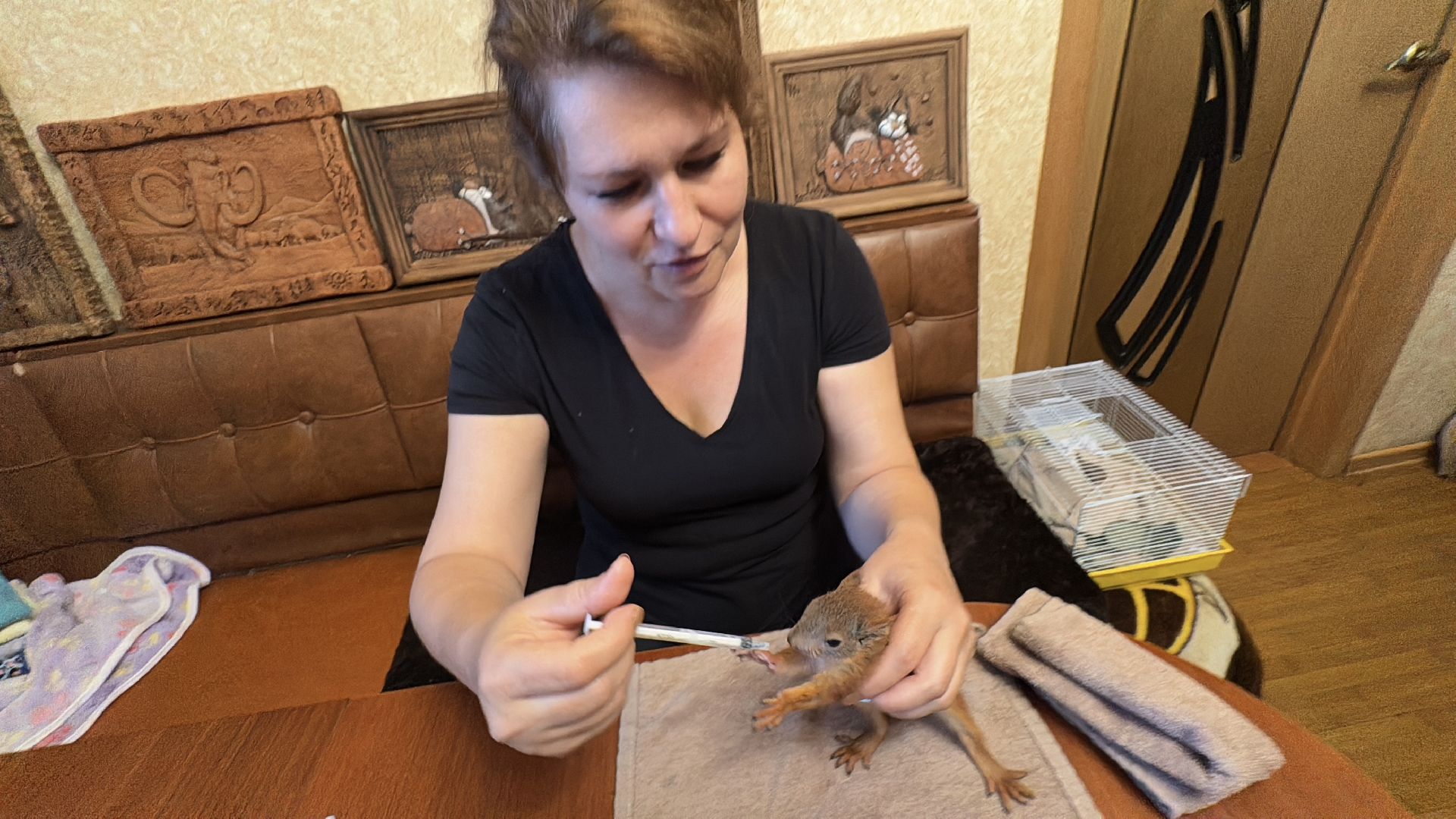 Экология Одинцово, Спасение бельчат, Анна Колесникова,