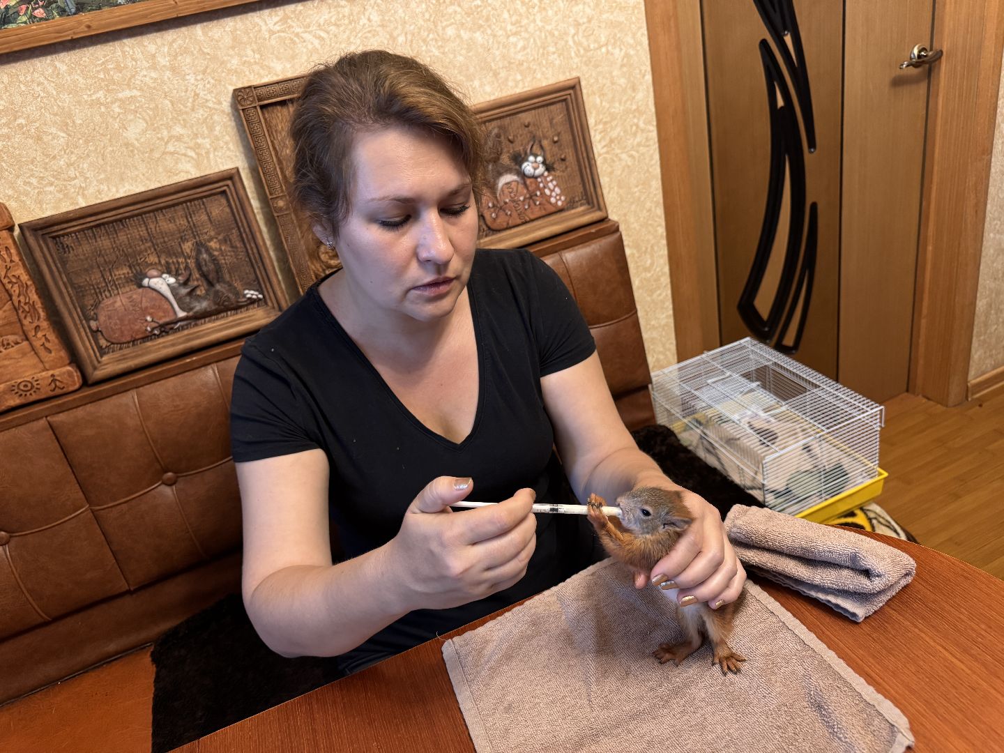 Экология Одинцово, Спасение бельчат, Анна Колесникова,