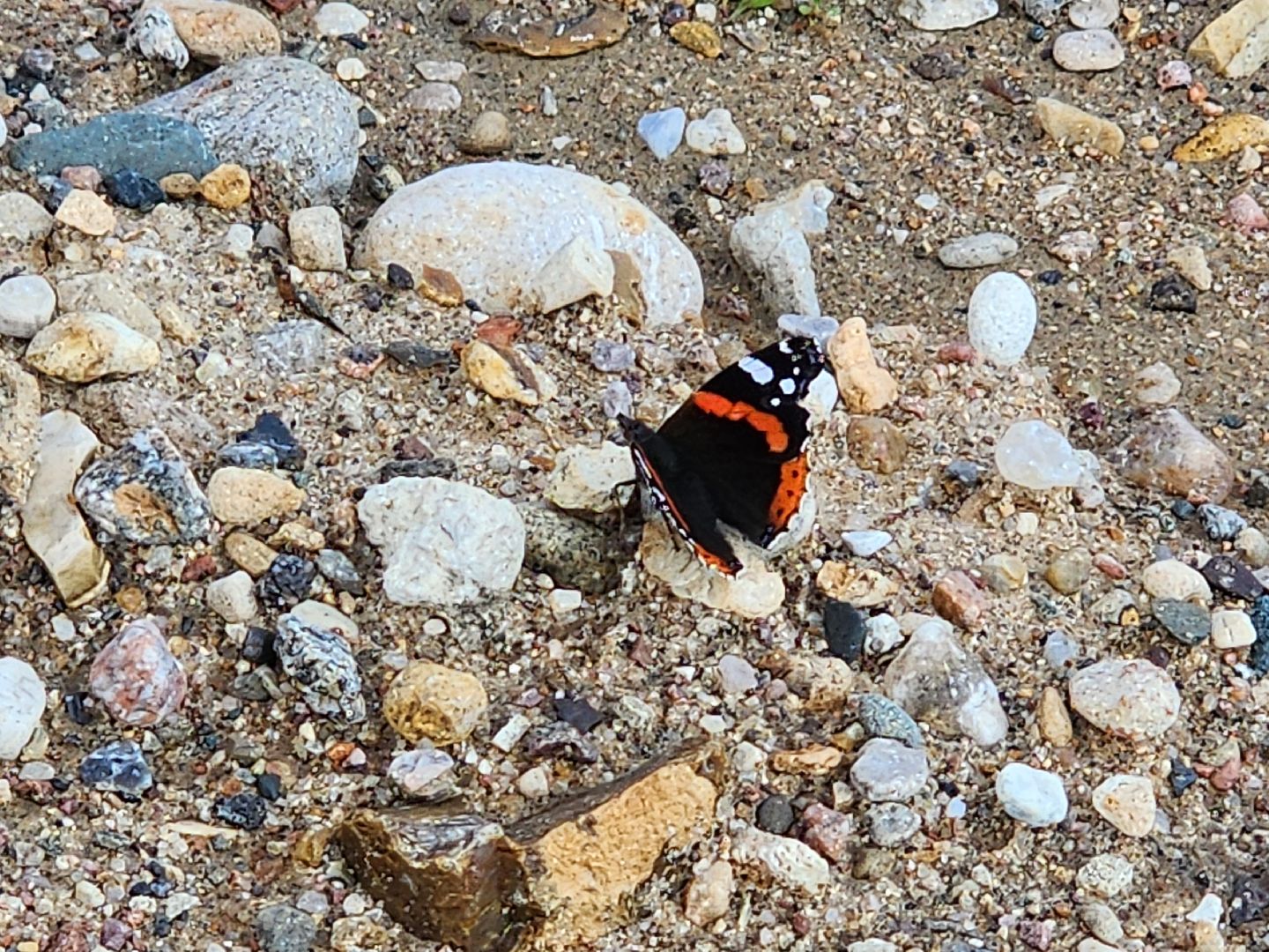 Истра, Мост, Дороги,