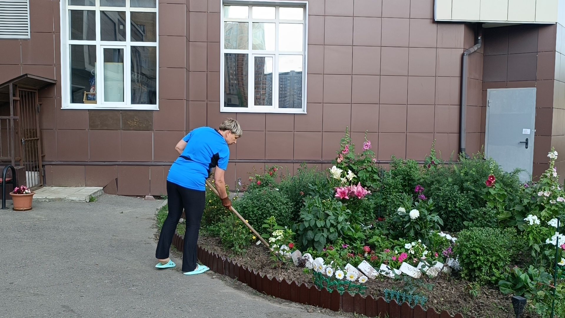 цветы, мкд, лобня,