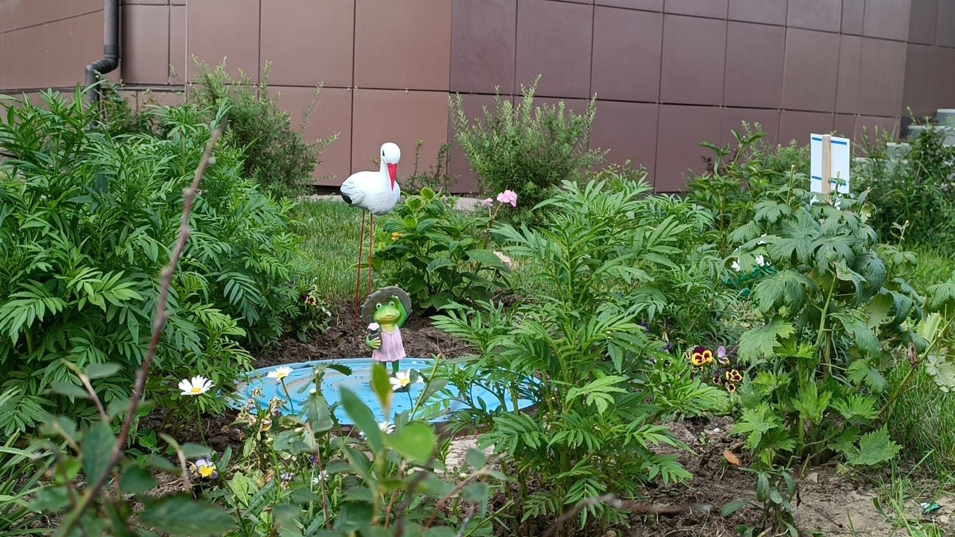 цветы, мкд, лобня,