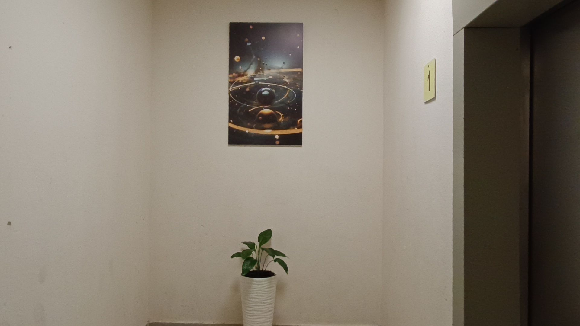 цветы, мкд, лобня,