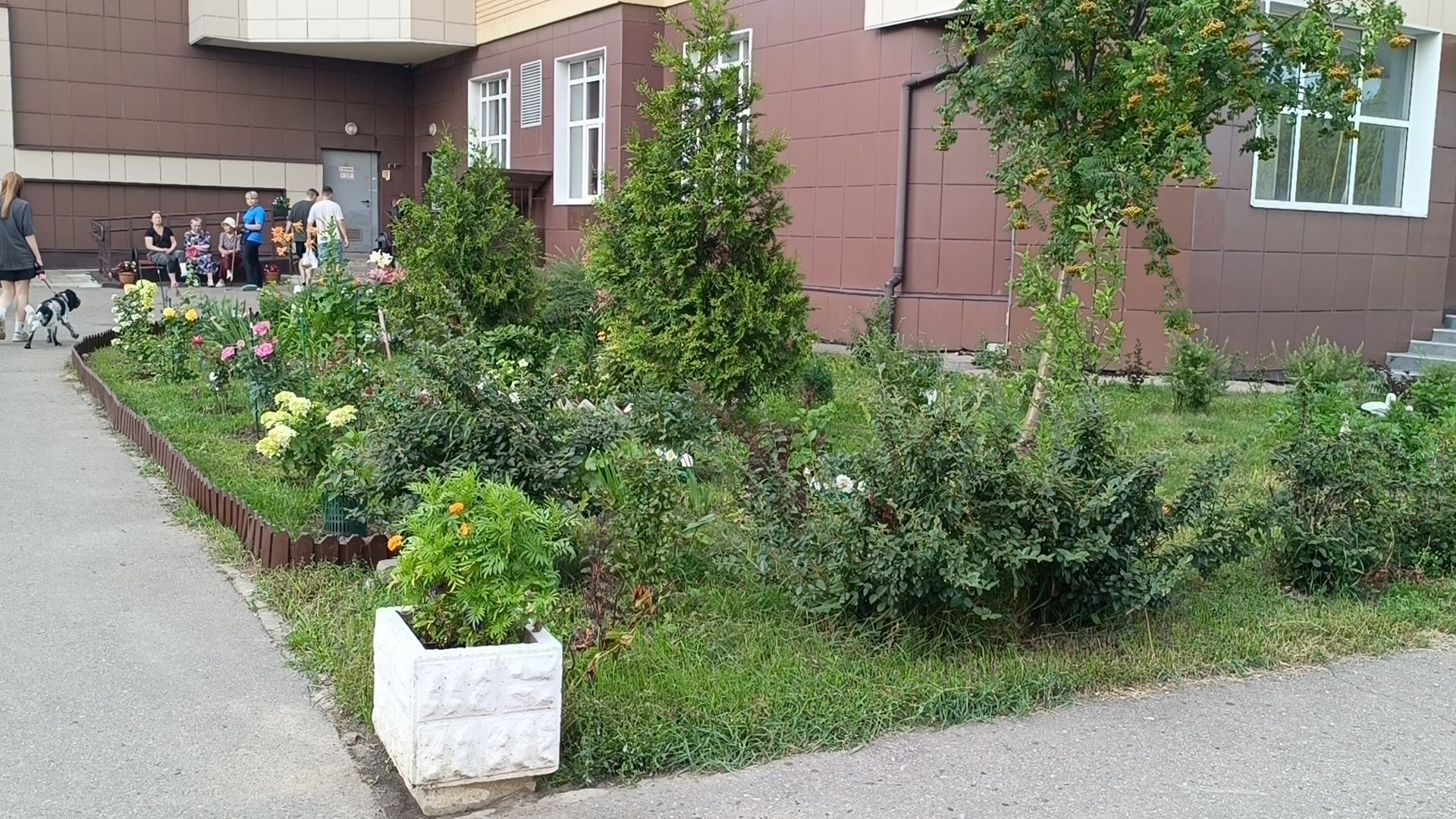 цветы, мкд, лобня,