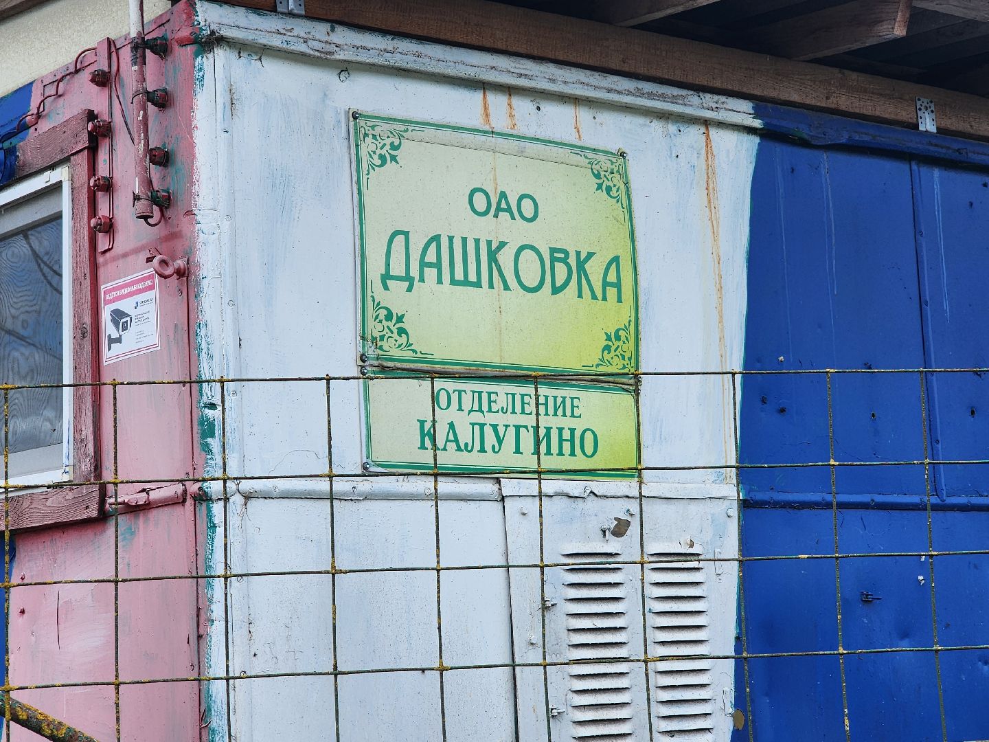 серпухов, деревня калугино, коровы в серпухове, ао дашковка, сельхозпредприятие в серпухове,