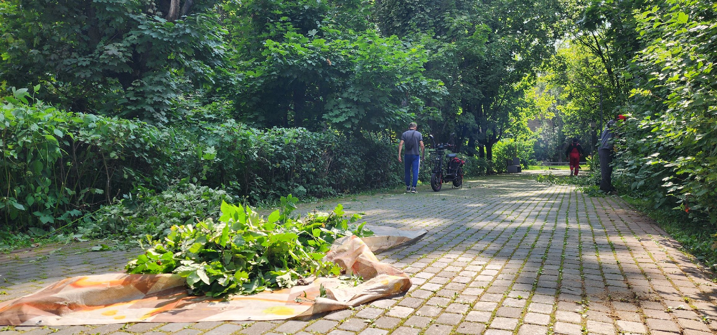 Химки, Благоустройство , Парки,