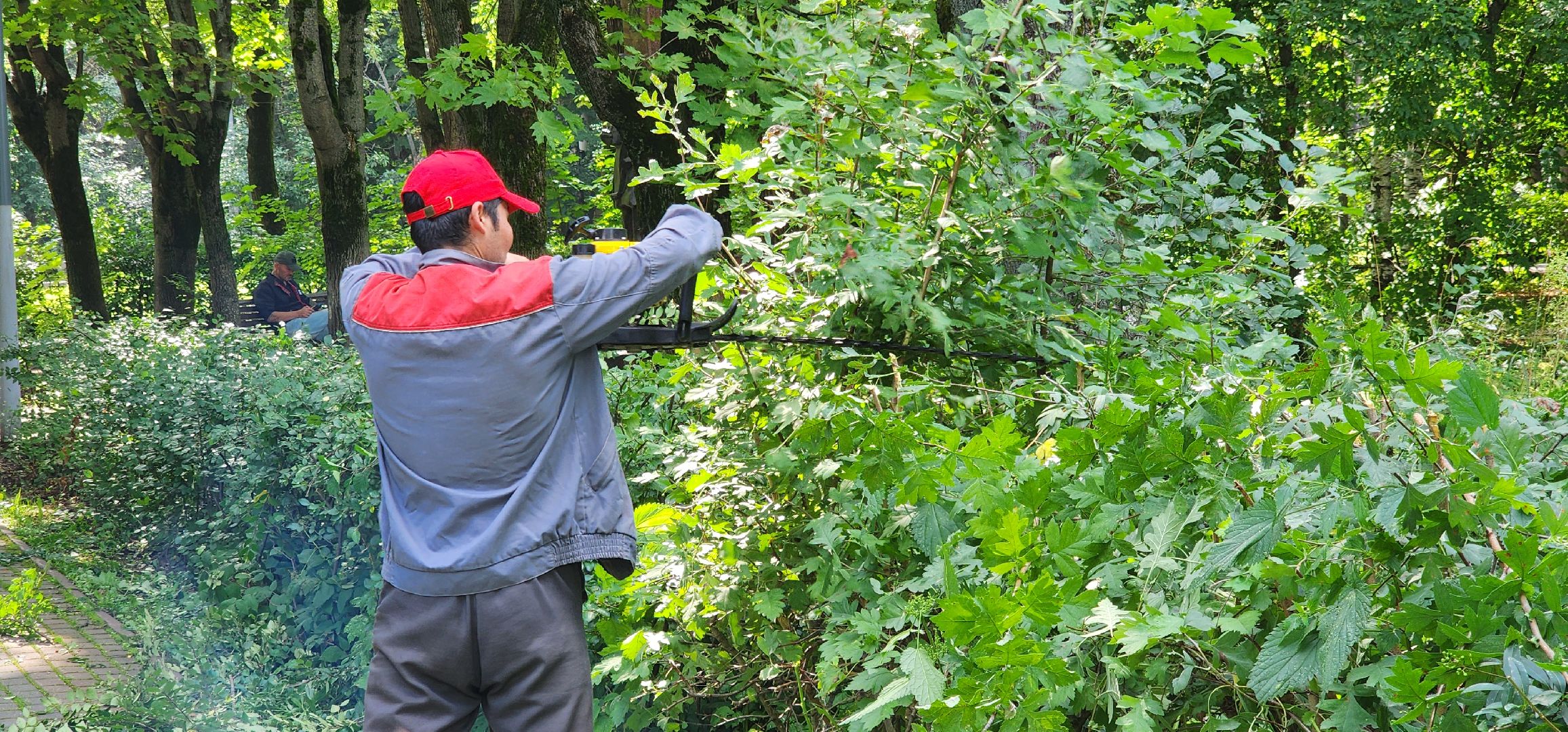 Химки, Благоустройство , Парки,