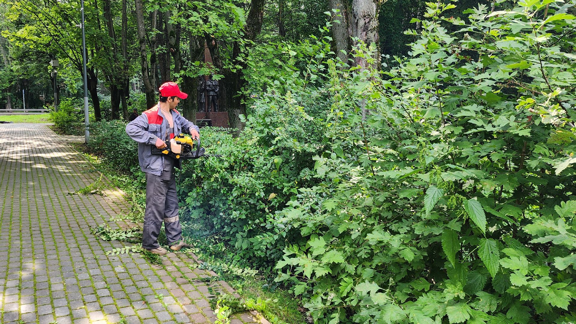 Химки, Благоустройство , Парки,