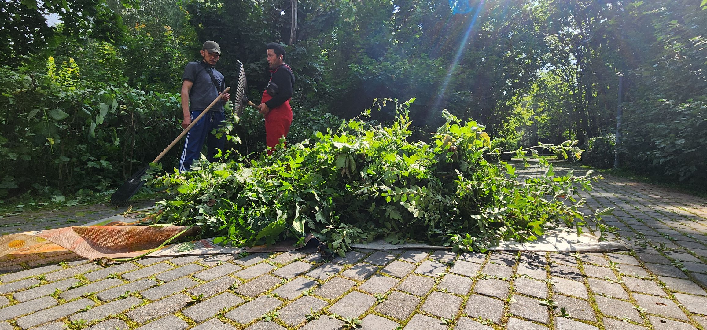 Химки, Благоустройство , Парки,