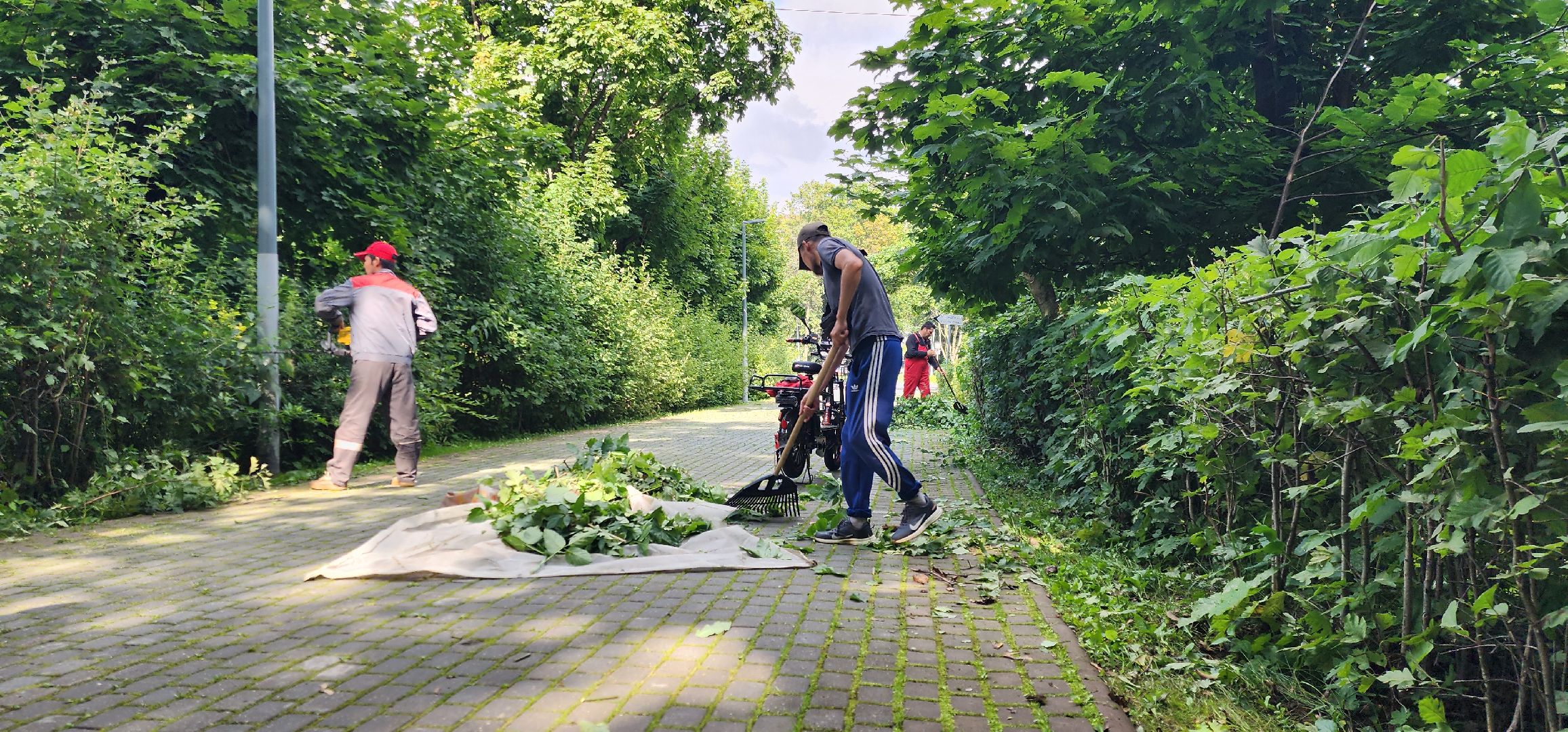 Химки, Благоустройство , Парки,