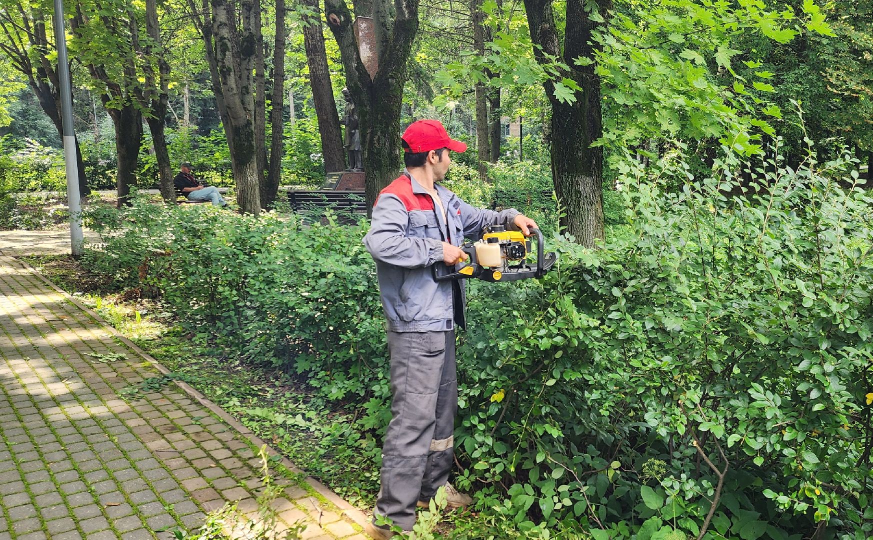 Химки, Благоустройство , Парки,