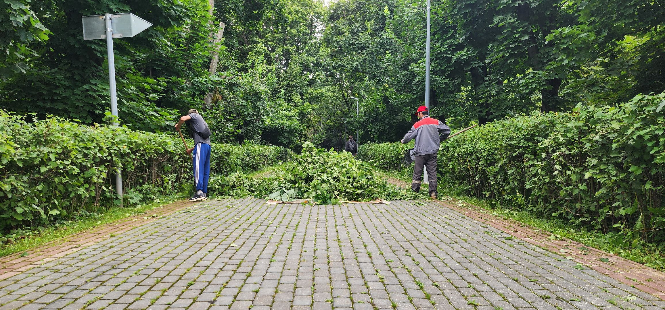 Химки, Благоустройство , Парки,