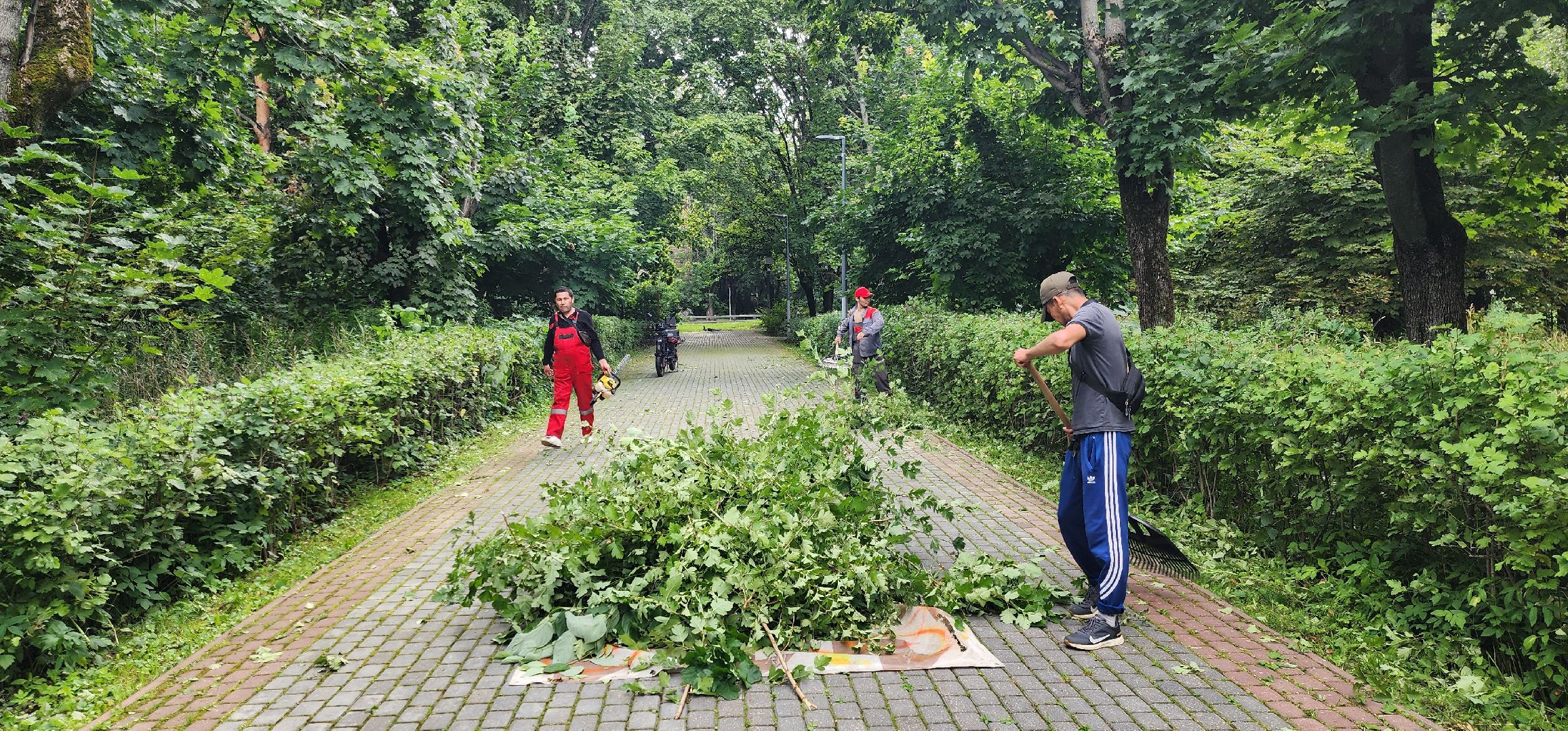 Химки, Благоустройство , Парки,