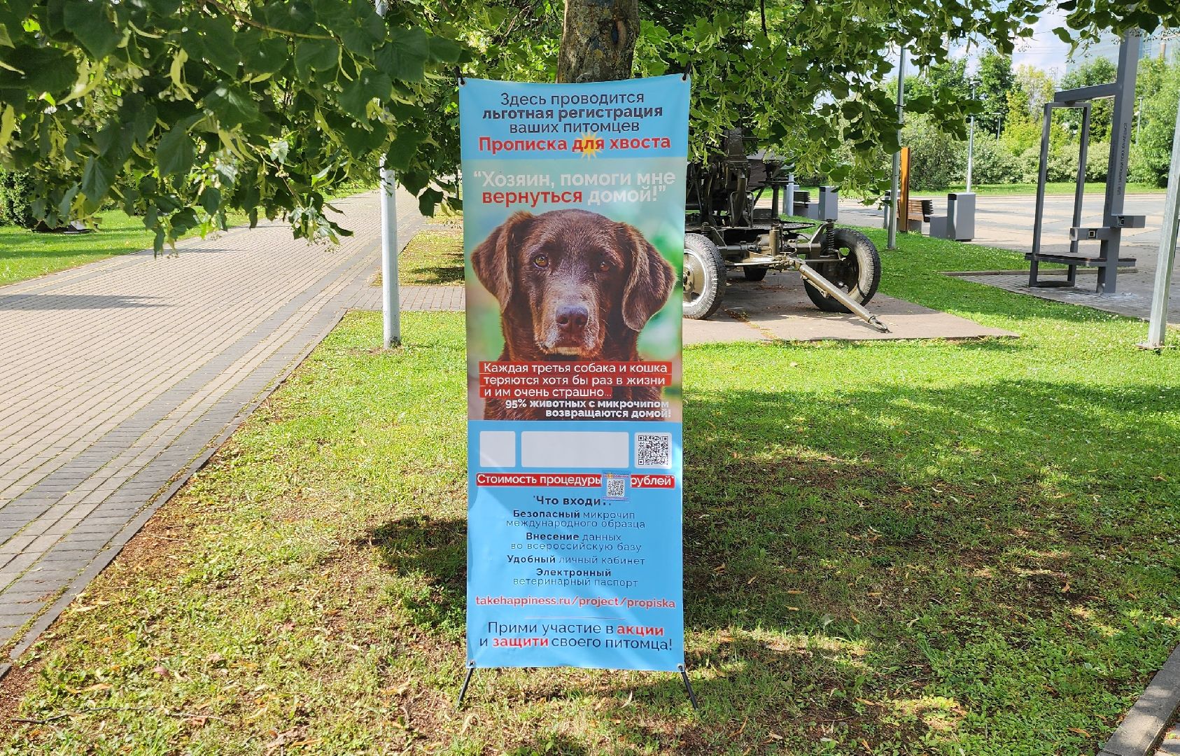 Химки, вакцинация животных, чипирование,