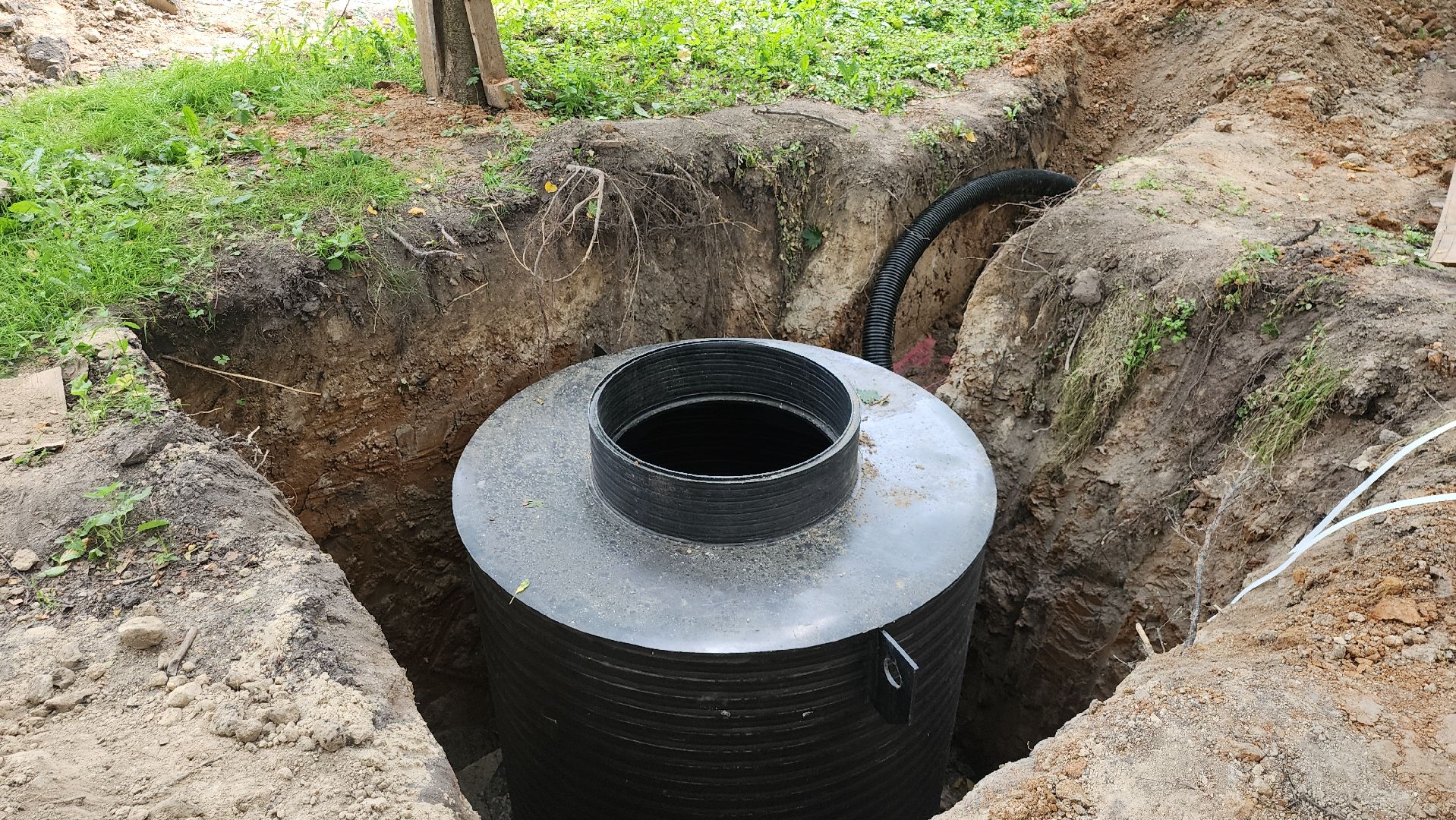 серпухов, подмосковье, реконструкция парка, парк питомник,