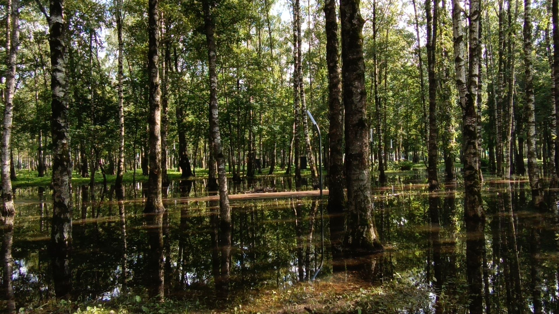 парк, подтопление, лобня,