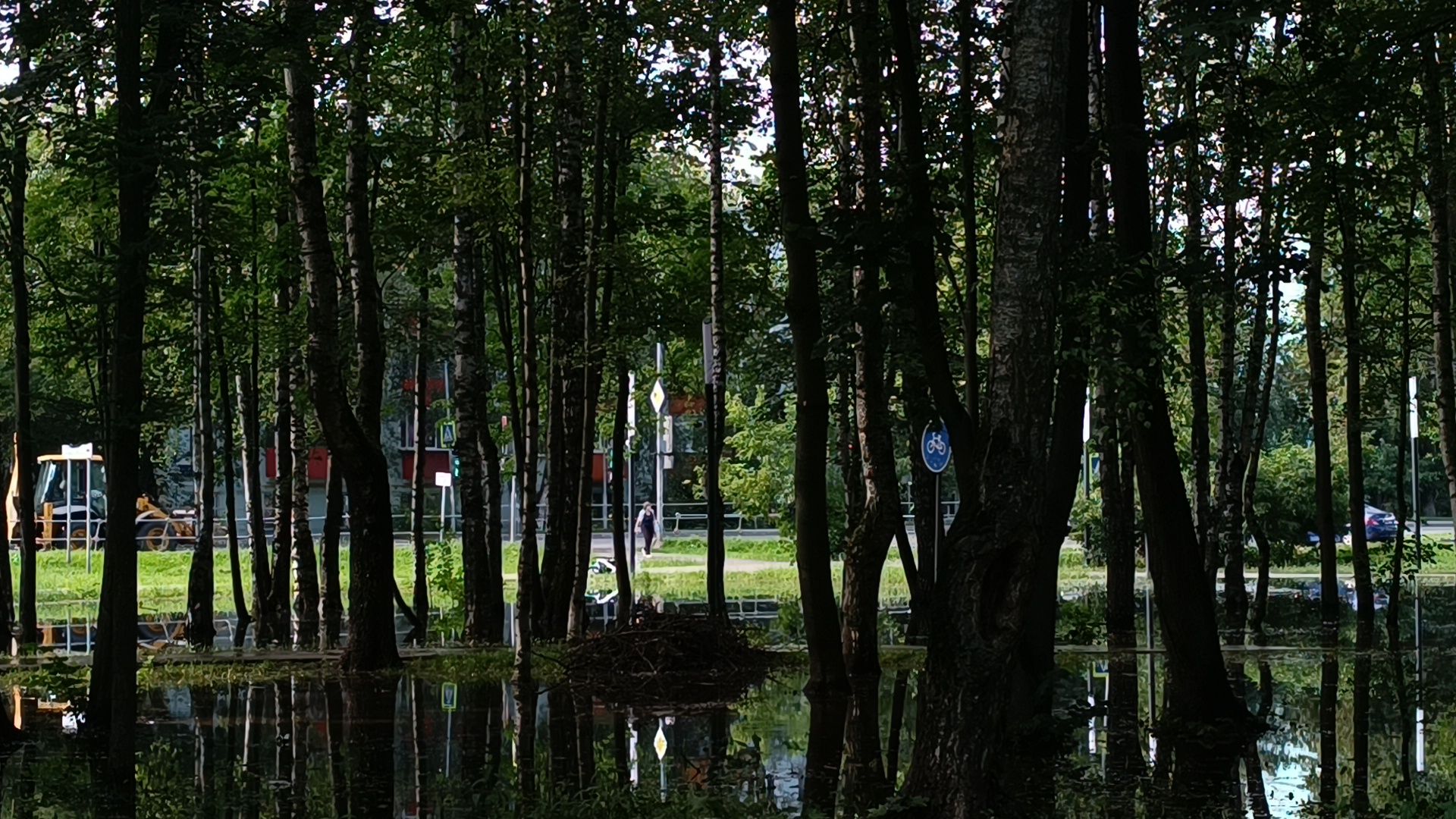 парк, подтопление, лобня,