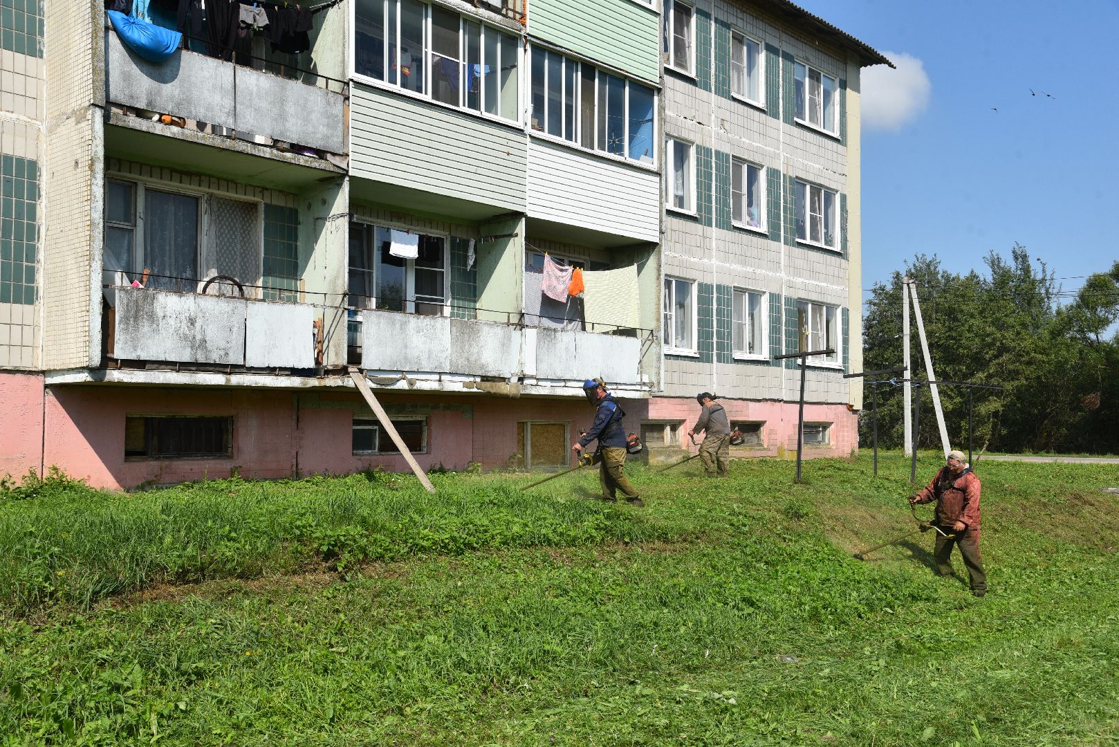 лотошино, добродел, окос травы, благоустройство, обращения жителей,