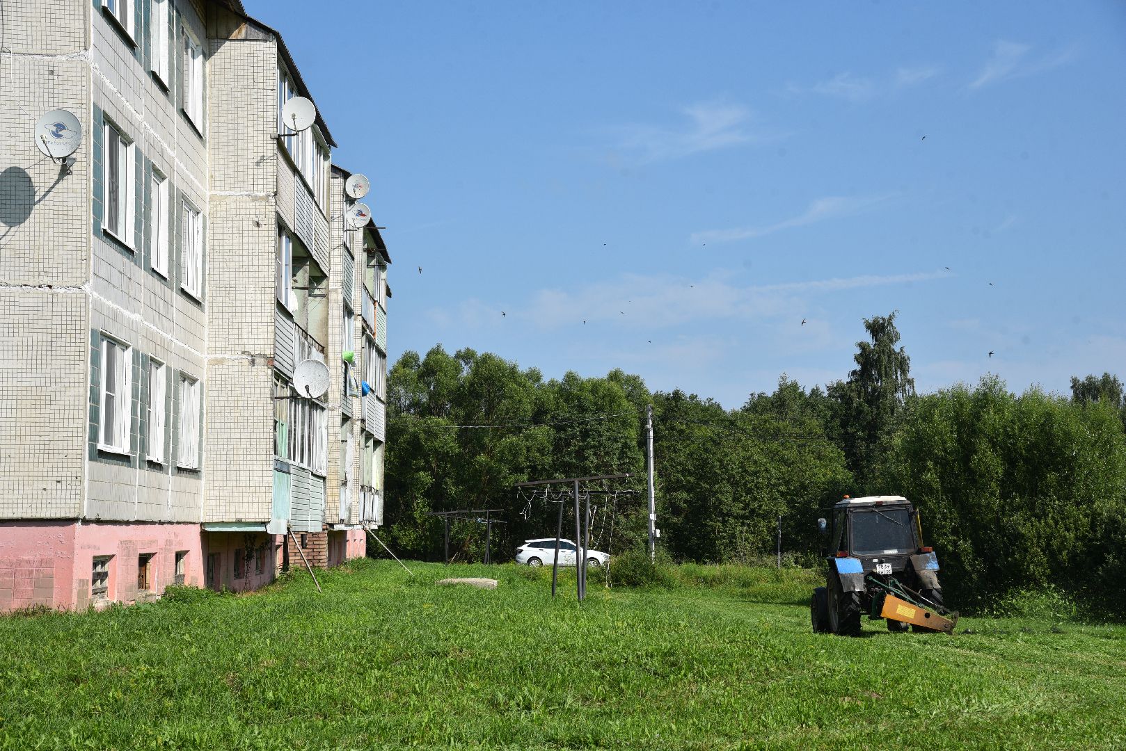 лотошино, добродел, окос травы, благоустройство, обращения жителей,