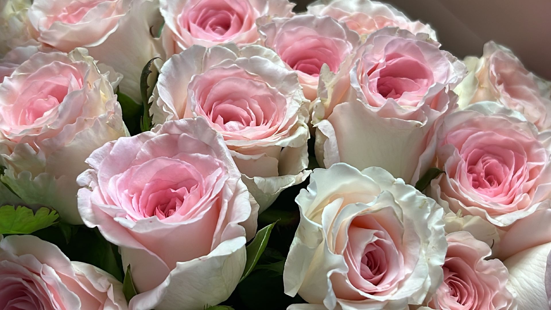 наро-фоминск, язык цветов, день флориста ,