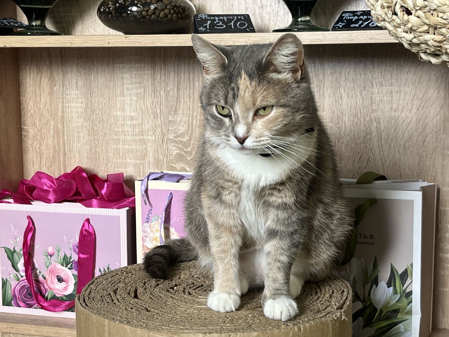 наро-фоминск, язык цветов, день флориста ,