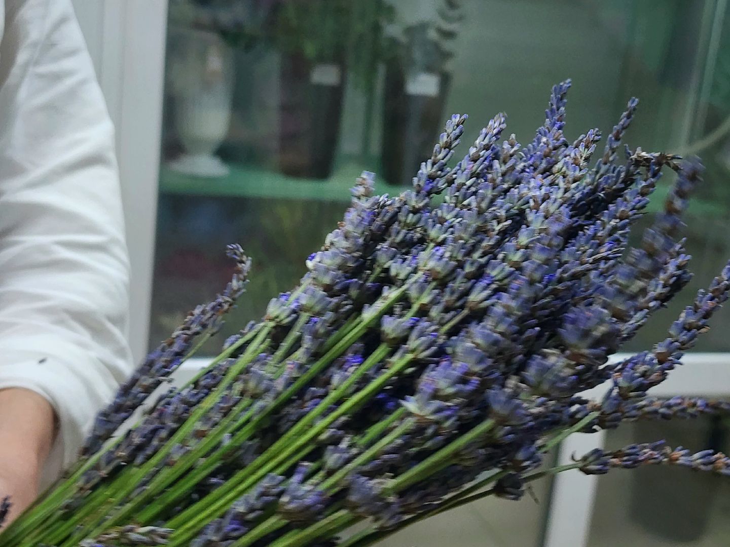 наро-фоминск, язык цветов, день флориста ,