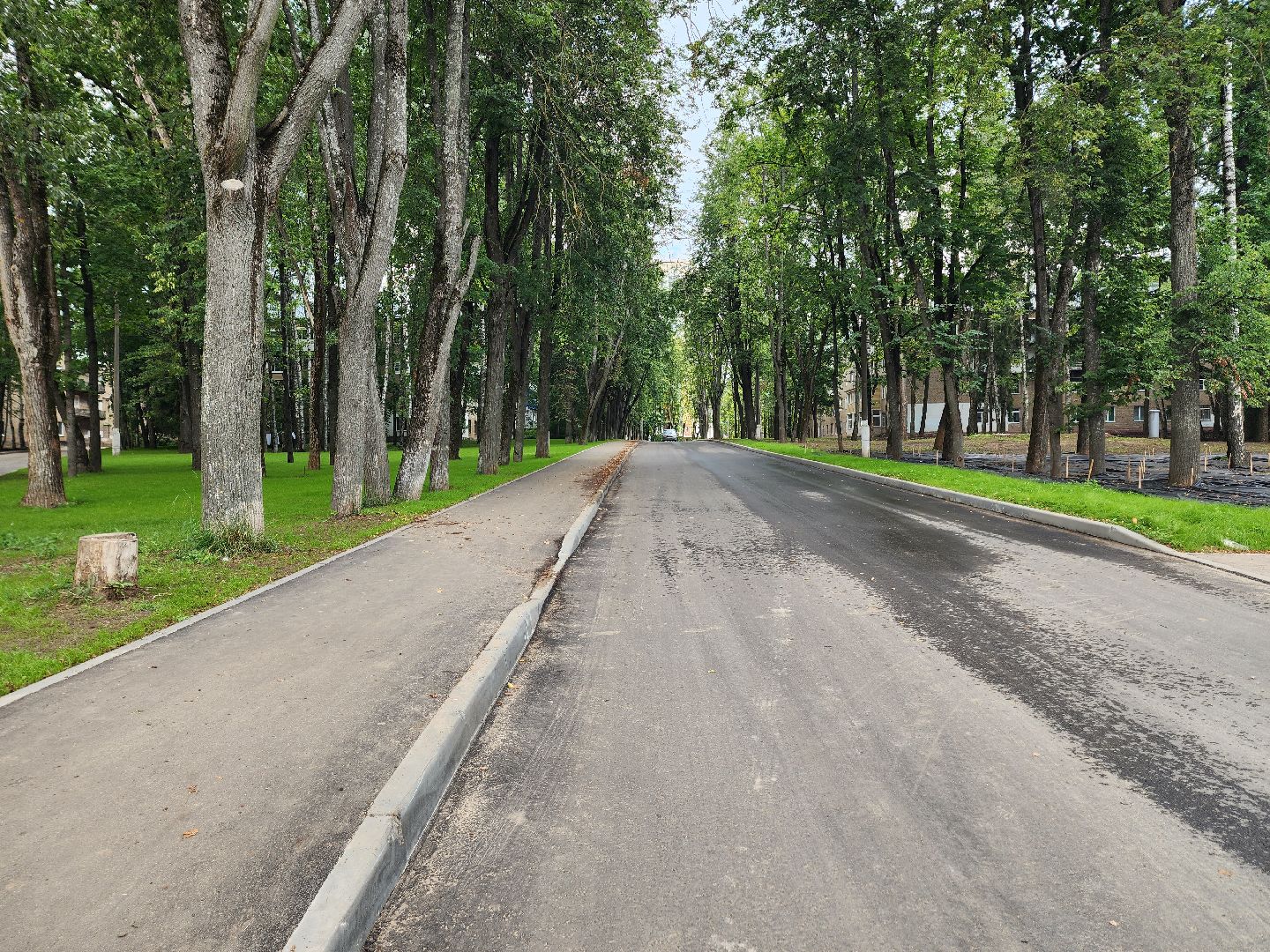 солнечногорск, благоустройство , выстрел, жители ,