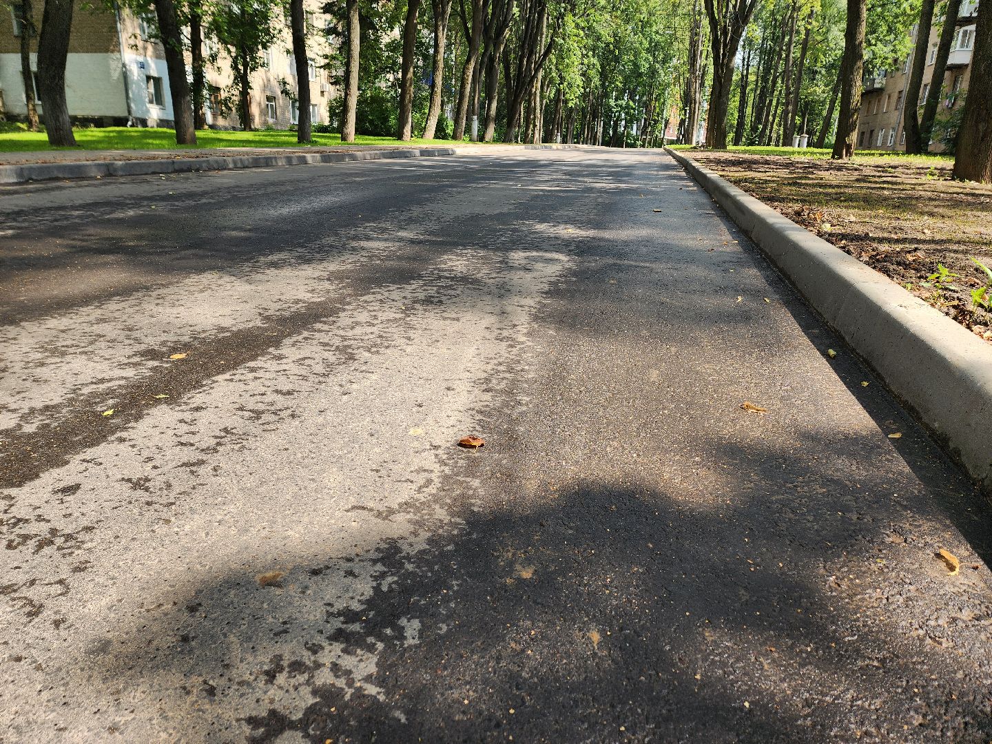 солнечногорск, благоустройство , выстрел, жители ,