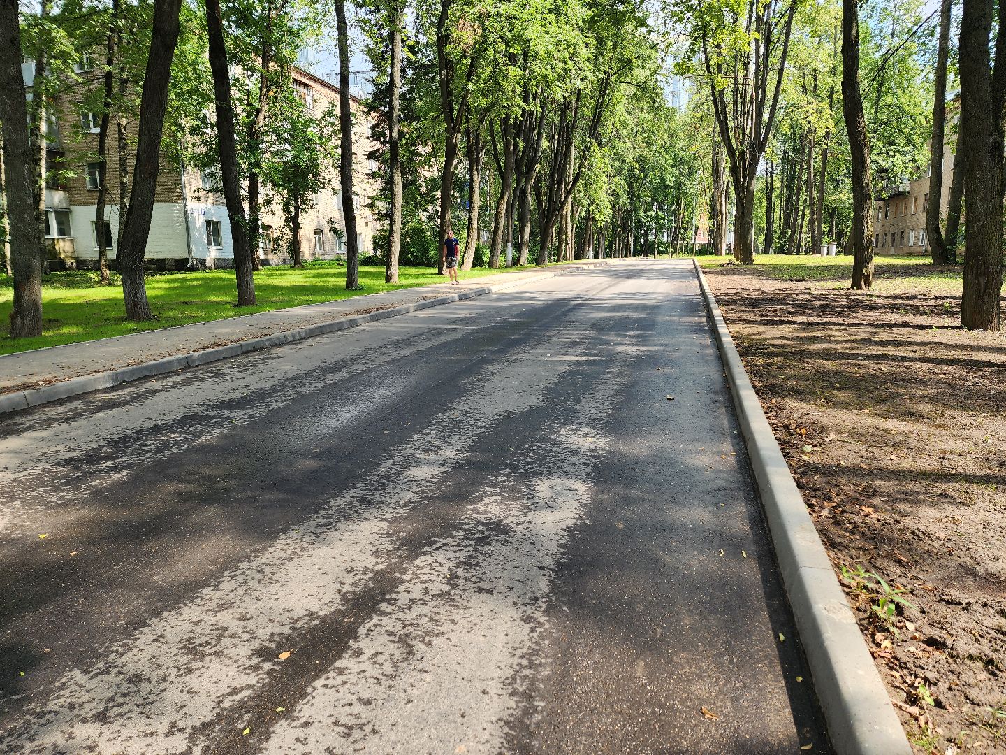 солнечногорск, благоустройство , выстрел, жители ,