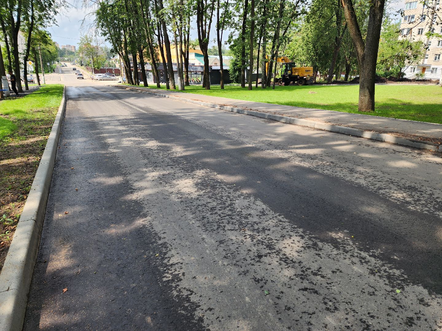 солнечногорск, благоустройство , выстрел, жители ,